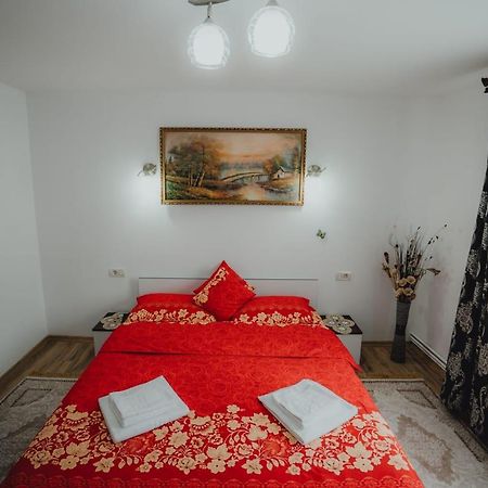 Casa Andreea Si Grigore Ursu บอร์ชา ภายนอก รูปภาพ
