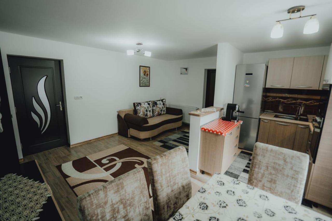 Casa Andreea Si Grigore Ursu บอร์ชา ภายนอก รูปภาพ