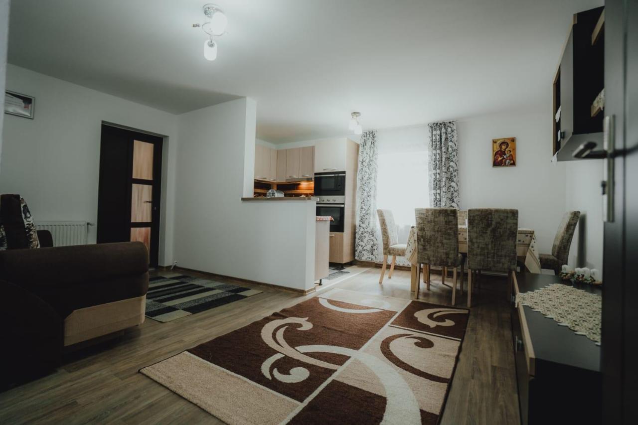Casa Andreea Si Grigore Ursu บอร์ชา ภายนอก รูปภาพ