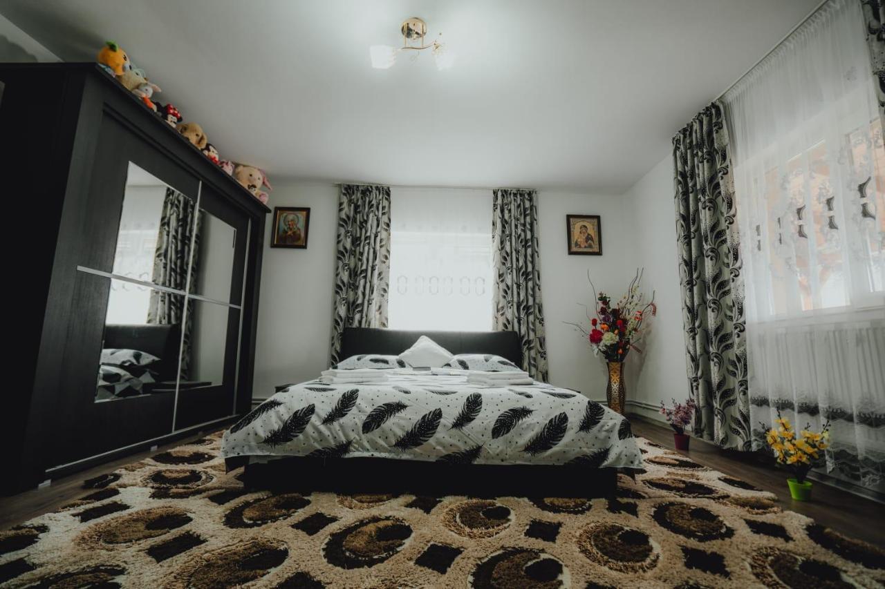 Casa Andreea Si Grigore Ursu บอร์ชา ภายนอก รูปภาพ