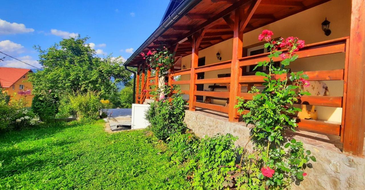 Casa Andreea Si Grigore Ursu บอร์ชา ภายนอก รูปภาพ
